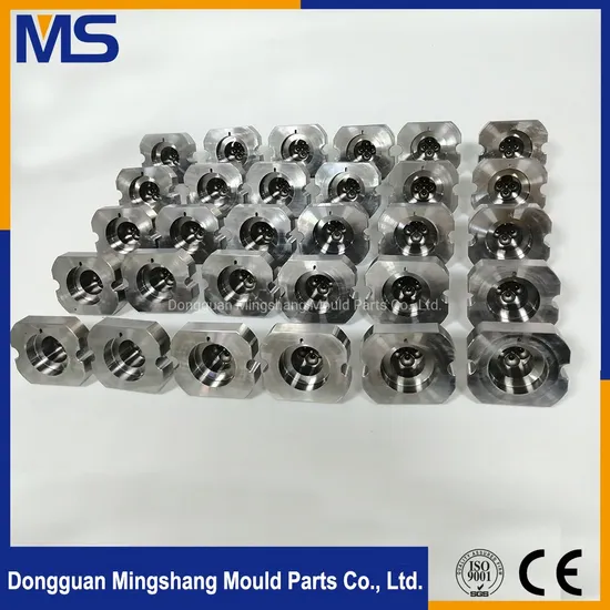 High Precision Mould Parts Mold Inserts Mold Core Injection Molding Components for Plastic Mold