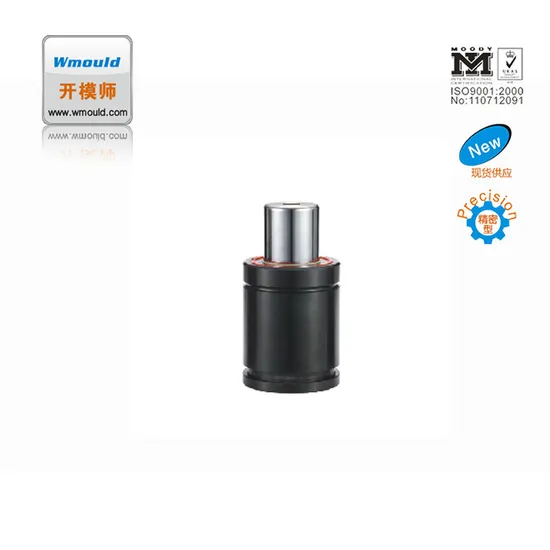 Wmould Automatic Metal Plastic Injection Mold Parts Nitrogen Air Spring Nitrogen Spring Mold Components 